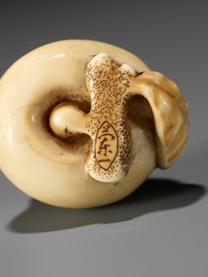 Lot 39 - RANICHI: AN IVORY NETSUKE OF A PEACH