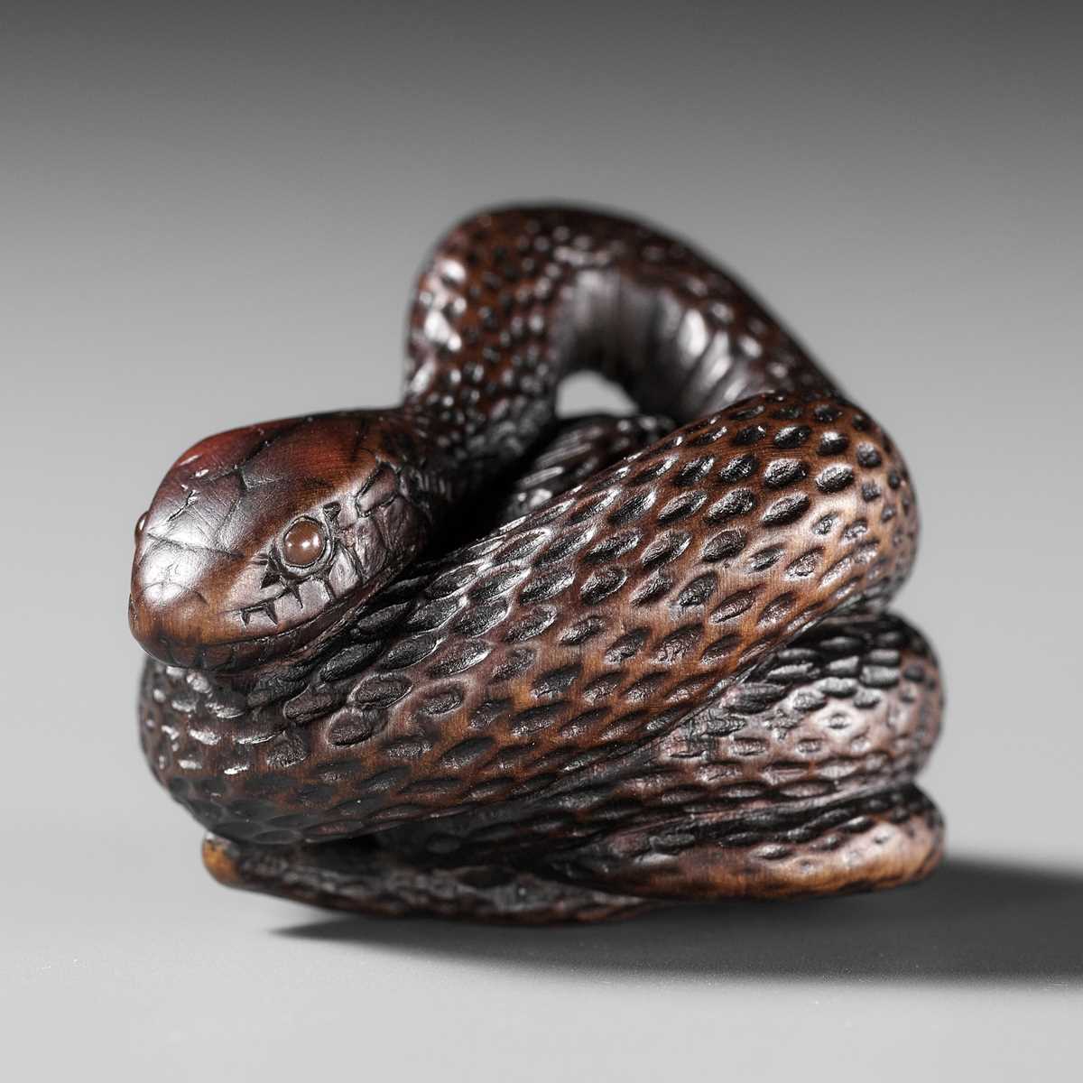 Lot 101 - A SUPERB DARK WOOD NETSUKE OF A COILED SNAKE