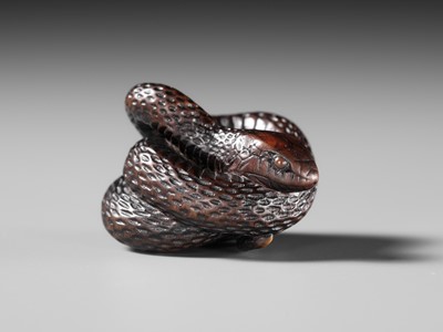 Lot 101 - A SUPERB DARK WOOD NETSUKE OF A COILED SNAKE