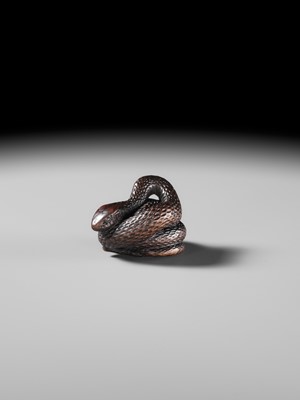 Lot 101 - A SUPERB DARK WOOD NETSUKE OF A COILED SNAKE