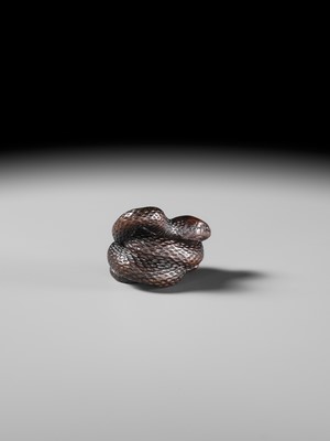 Lot 101 - A SUPERB DARK WOOD NETSUKE OF A COILED SNAKE