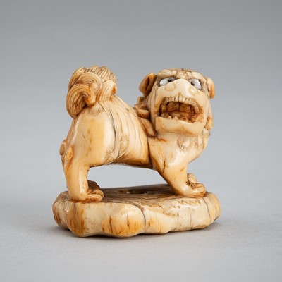 Lot 512 - A FINE IVORY NETSUKE OF A SHISHI, EDO PERIOD