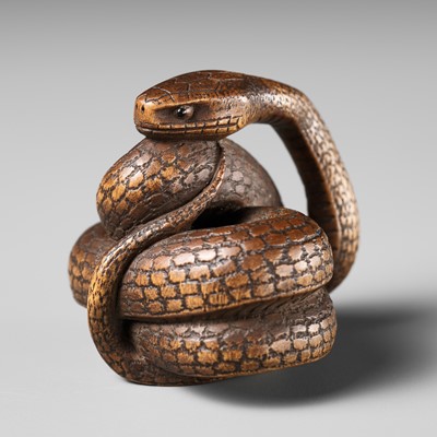 Lot 459 - MASAHIRO: A WOOD NETSUKE OF A COILED SNAKE