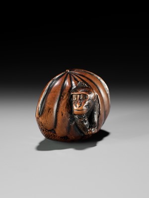 Lot 128 - A FINE TANBA SCHOOL WOOD NETSUKE OF A MONKEY EMERGING FROM A CHESTNUT