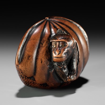 Lot 128 - A FINE TANBA SCHOOL WOOD NETSUKE OF A MONKEY EMERGING FROM A CHESTNUT