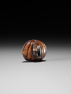 Lot 128 - A FINE TANBA SCHOOL WOOD NETSUKE OF A MONKEY EMERGING FROM A CHESTNUT
