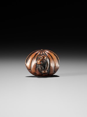 Lot 128 - A FINE TANBA SCHOOL WOOD NETSUKE OF A MONKEY EMERGING FROM A CHESTNUT