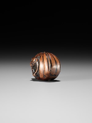 Lot 128 - A FINE TANBA SCHOOL WOOD NETSUKE OF A MONKEY EMERGING FROM A CHESTNUT