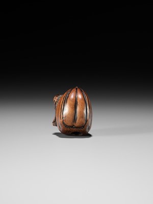 Lot 128 - A FINE TANBA SCHOOL WOOD NETSUKE OF A MONKEY EMERGING FROM A CHESTNUT