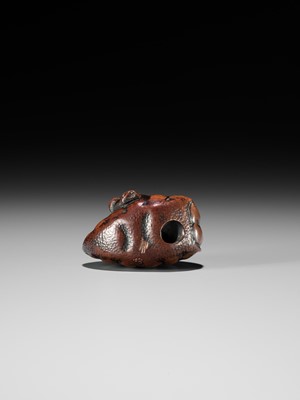 Lot 128 - A FINE TANBA SCHOOL WOOD NETSUKE OF A MONKEY EMERGING FROM A CHESTNUT