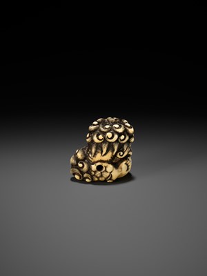 Lot 52 - AN IVORY NETSUKE OF A SNARLING SHISHI WITH BALL