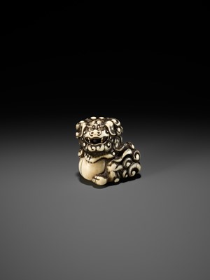 Lot 52 - AN IVORY NETSUKE OF A SNARLING SHISHI WITH BALL