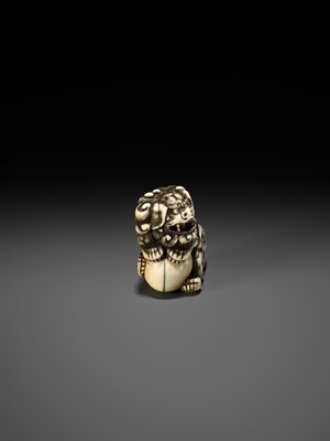 Lot 52 - AN IVORY NETSUKE OF A SNARLING SHISHI WITH BALL