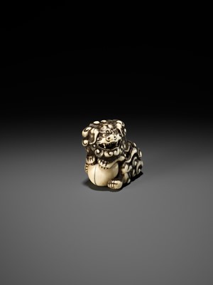 Lot 52 - AN IVORY NETSUKE OF A SNARLING SHISHI WITH BALL