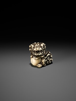 Lot 52 - AN IVORY NETSUKE OF A SNARLING SHISHI WITH BALL