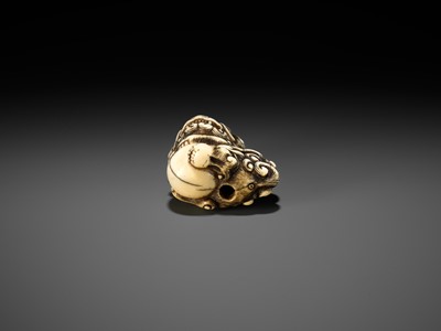 Lot 52 - AN IVORY NETSUKE OF A SNARLING SHISHI WITH BALL