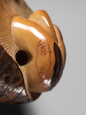 Lot 284 - YOSHIMASA: A RARE COROZO NUT NETSUKE OF TWO MUSHROOMS AND A WORM