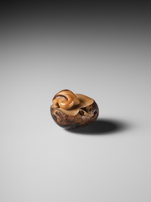 Lot 284 - YOSHIMASA: A RARE COROZO NUT NETSUKE OF TWO MUSHROOMS AND A WORM