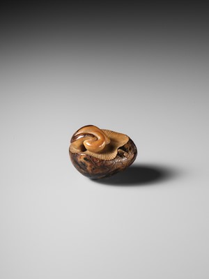 Lot 284 - YOSHIMASA: A RARE COROZO NUT NETSUKE OF TWO MUSHROOMS AND A WORM