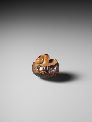 Lot 284 - YOSHIMASA: A RARE COROZO NUT NETSUKE OF TWO MUSHROOMS AND A WORM