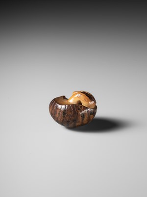 Lot 284 - YOSHIMASA: A RARE COROZO NUT NETSUKE OF TWO MUSHROOMS AND A WORM