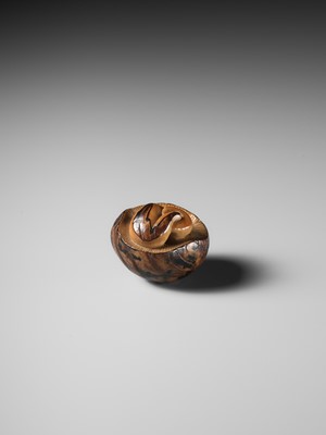 Lot 284 - YOSHIMASA: A RARE COROZO NUT NETSUKE OF TWO MUSHROOMS AND A WORM