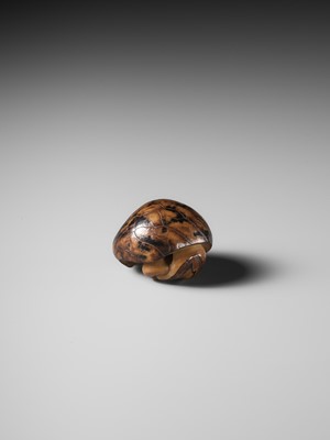 Lot 284 - YOSHIMASA: A RARE COROZO NUT NETSUKE OF TWO MUSHROOMS AND A WORM