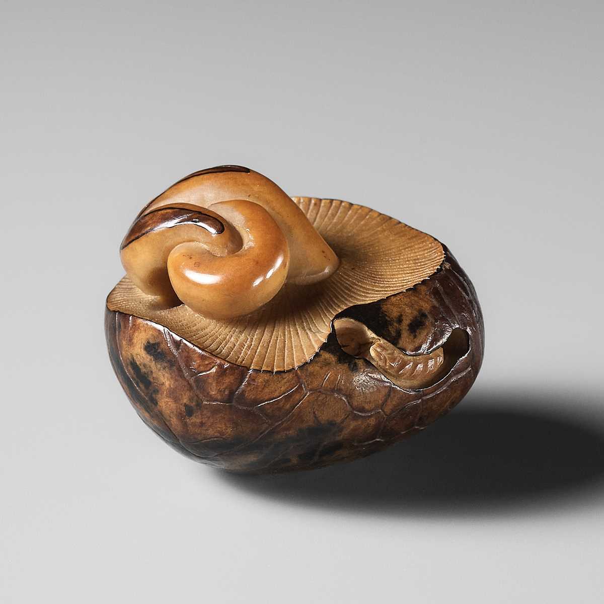 Lot 284 - YOSHIMASA: A RARE COROZO NUT NETSUKE OF TWO MUSHROOMS AND A WORM