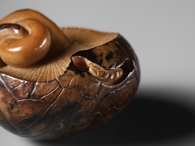 Lot 284 - YOSHIMASA: A RARE COROZO NUT NETSUKE OF TWO MUSHROOMS AND A WORM