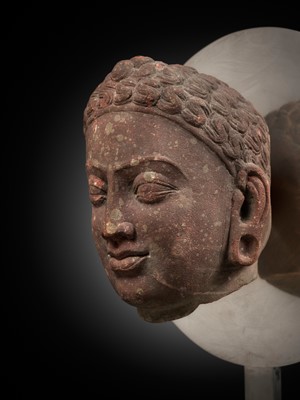 Lot 241 - A RARE MOTTLED RED SANDSTONE HEAD OF A JAIN TIRTHANKARA, MATHURA, KUSHAN PERIOD