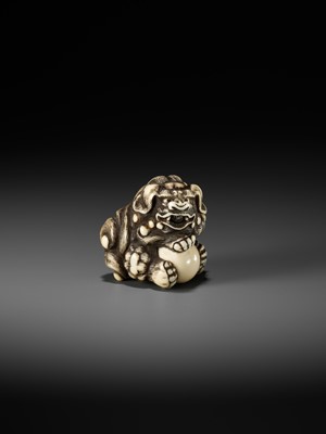 Lot 48 - GYOKUZAN: AN IVORY NETSUKE OF A SHISHI