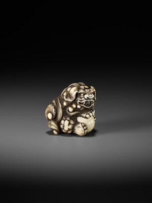 Lot 48 - GYOKUZAN: AN IVORY NETSUKE OF A SHISHI