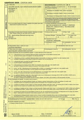 Lot 587 - TOMOKAZU: A FINE IVORY NETSUKE OF FUKUSUKE INSPECTING A NETSUKE ATTACHED TO AN INRO