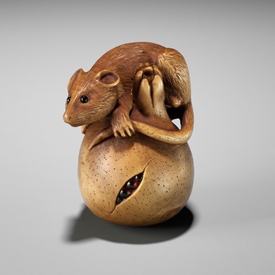 ALEXANDER DERKACHENKO: RAT ON POMEGRANATE