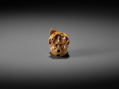 Lot 477 - ALEXANDER DERKACHENKO: SKULL AND SNAKE, MEMENTO MORI