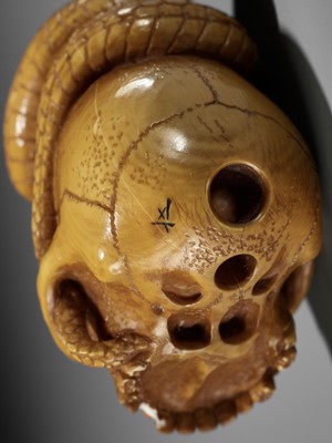 Lot 477 - ALEXANDER DERKACHENKO: SKULL AND SNAKE, MEMENTO MORI