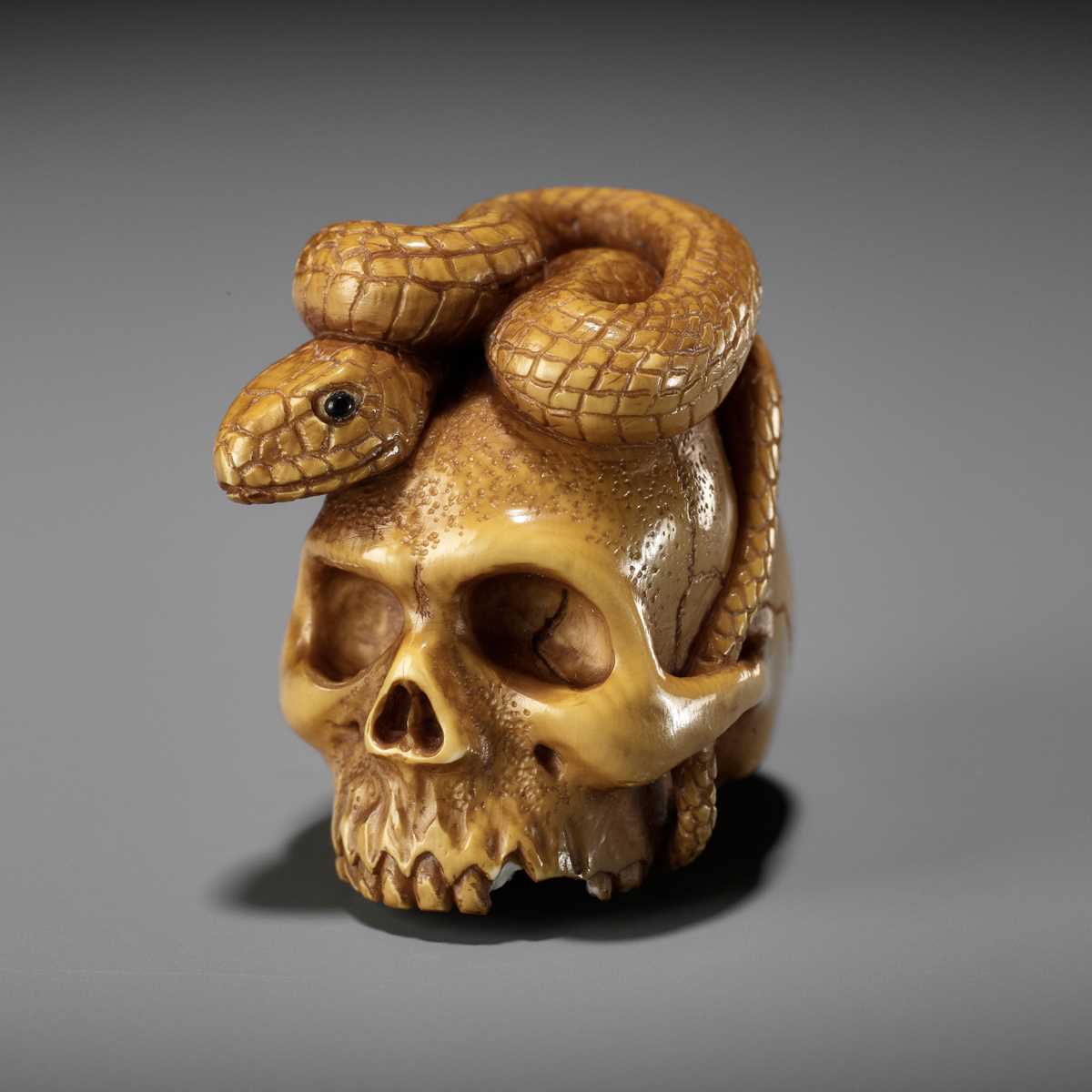 Lot 477 - ALEXANDER DERKACHENKO: SKULL AND SNAKE, MEMENTO MORI