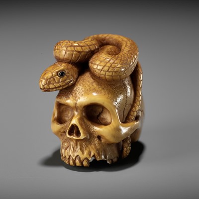 ALEXANDER DERKACHENKO: SKULL AND SNAKE, MEMENTO MORI