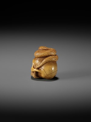 Lot 477 - ALEXANDER DERKACHENKO: SKULL AND SNAKE, MEMENTO MORI