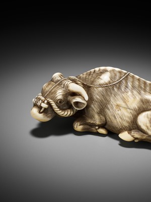 Lot 45 - A SUPERB IVORY NETSUKE OF A RECUMBENT OX, ATTRIBUTED TO OKATOMO