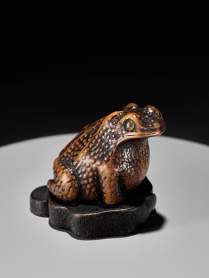 Lot 93 - A LARGE AND UNUSUAL WOOD NETSUKE OF A TOAD