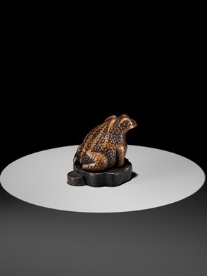 Lot 93 - A LARGE AND UNUSUAL WOOD NETSUKE OF A TOAD