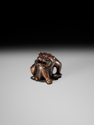 A WOOD NETSUKE OF A SHISHI SCRATCHING ITS JOWL, ATTRIBUTED TO RISUKE GARAKU