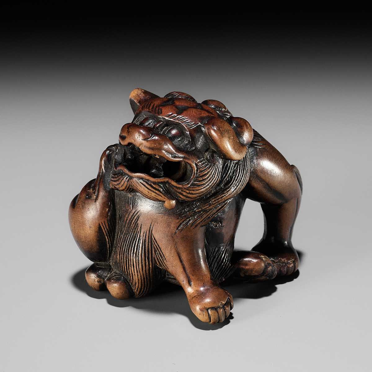 A WOOD NETSUKE OF A SHISHI SCRATCHING ITS JOWL, ATTRIBUTED TO RISUKE GARAKU