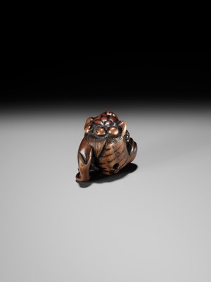 A WOOD NETSUKE OF A SHISHI SCRATCHING ITS JOWL, ATTRIBUTED TO RISUKE GARAKU