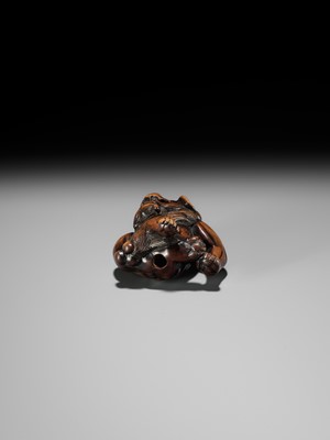 A WOOD NETSUKE OF A SHISHI SCRATCHING ITS JOWL, ATTRIBUTED TO RISUKE GARAKU