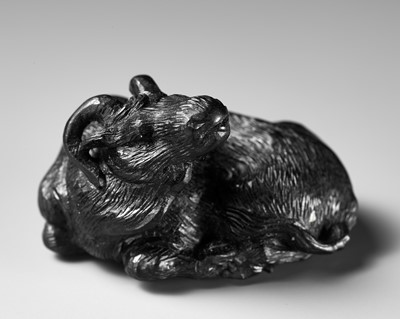 TATEKAWA KOSAI: AN EBONY WOOD NETSUKE OF A RECUMBENT OX