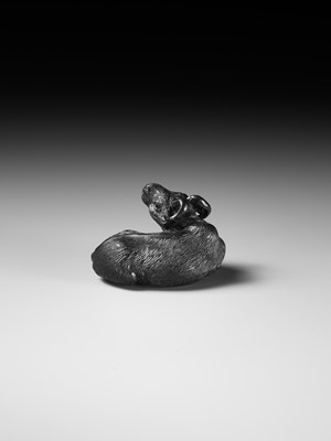 TATEKAWA KOSAI: AN EBONY WOOD NETSUKE OF A RECUMBENT OX