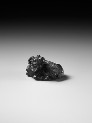 TATEKAWA KOSAI: AN EBONY WOOD NETSUKE OF A RECUMBENT OX