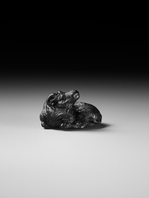 TATEKAWA KOSAI: AN EBONY WOOD NETSUKE OF A RECUMBENT OX